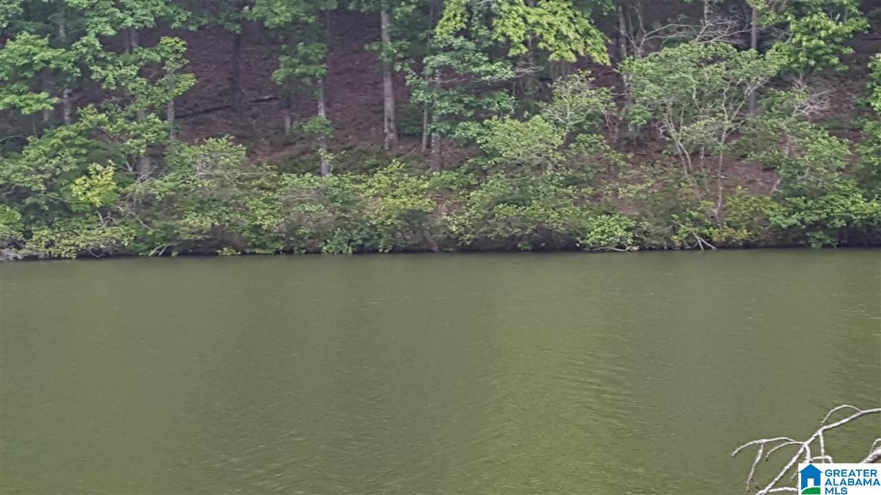 11-acres Deer Run Road, Unit 148330000001 010 Alabaster, AL 35007 - Photo 20 of 34