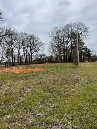 a view of a field with trees in front of it