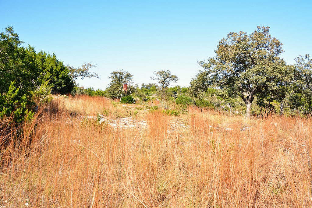 Tbd Tbd Other Leakey, TX 78873 - Photo 32 of 59