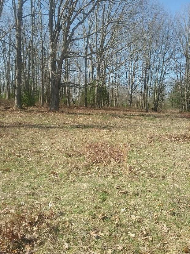 Daisy Trail Cool Ridge, WV 25825 - Photo 5 of 7 Gallery Image 5