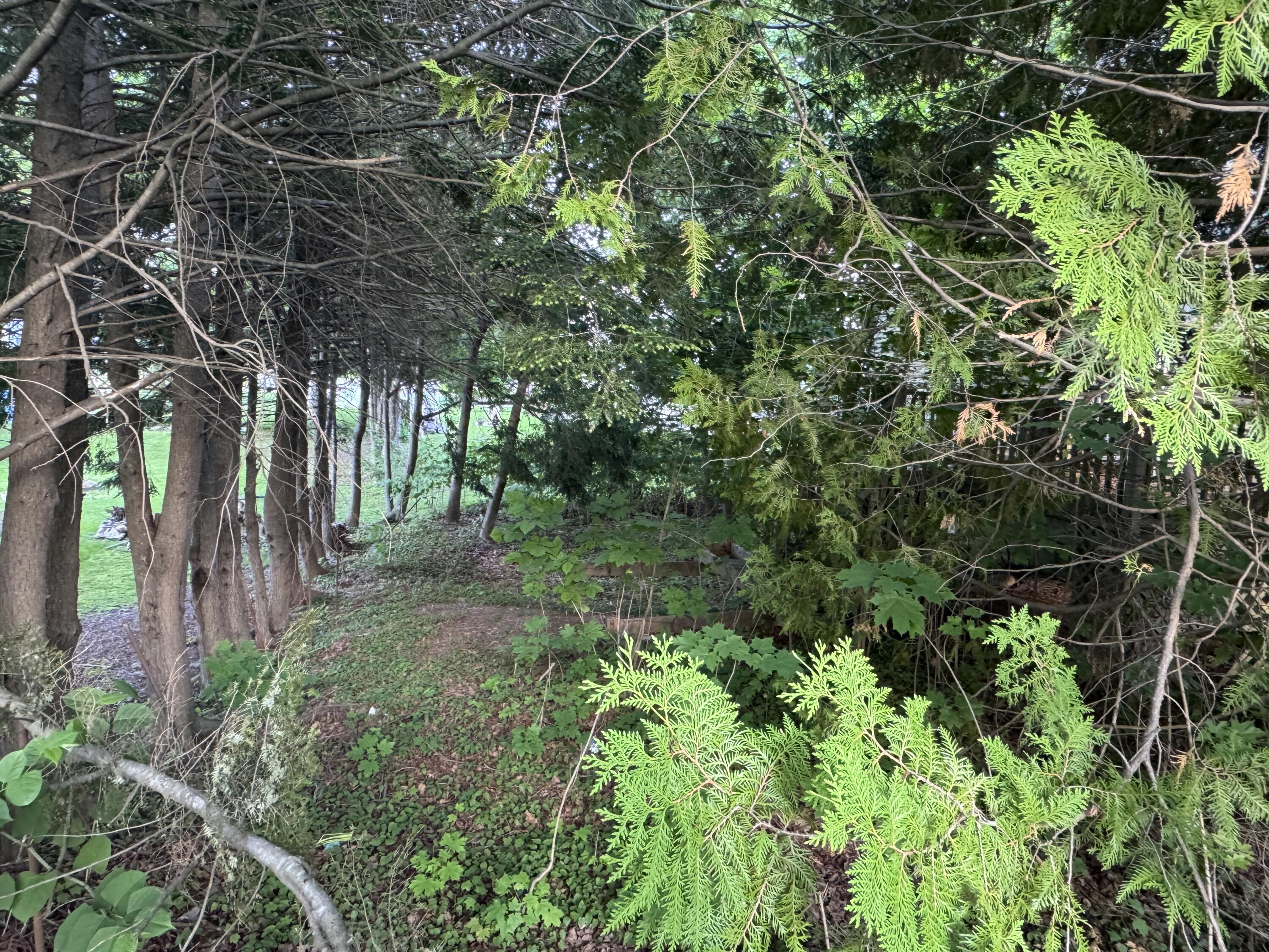 95 Eastern Avenue Augusta, ME 04330 - Photo 19 of 21 IMG_8453