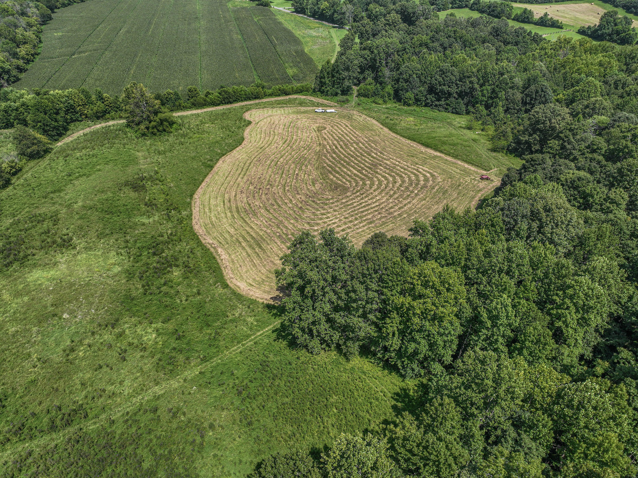 0 Adam Road Salem, KY 42078 - Photo 1 of 10 68+/- Acres