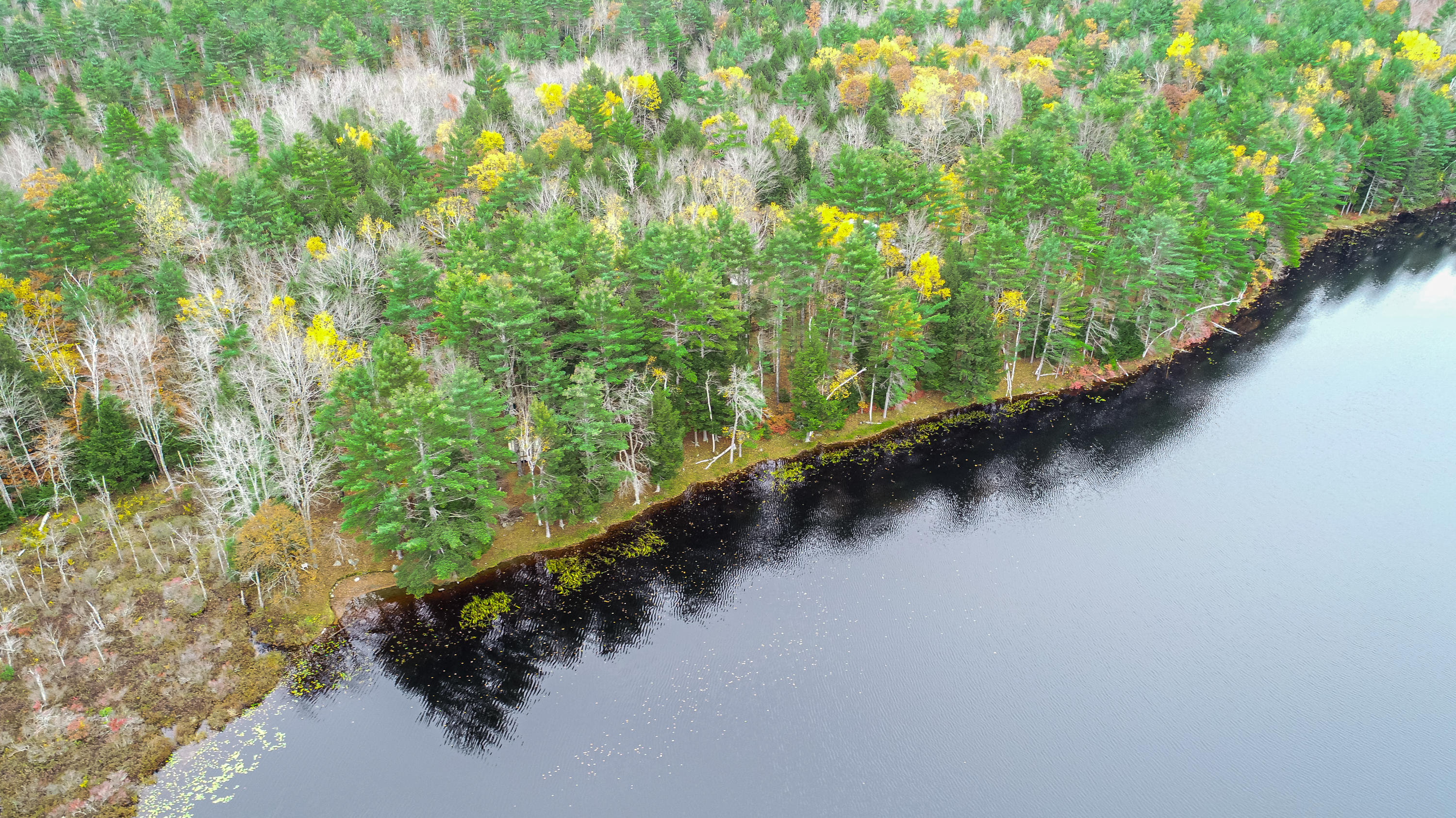 84 Moody Pond Road Windsor, ME 04363 - Photo 12 of 47 DJI_0954