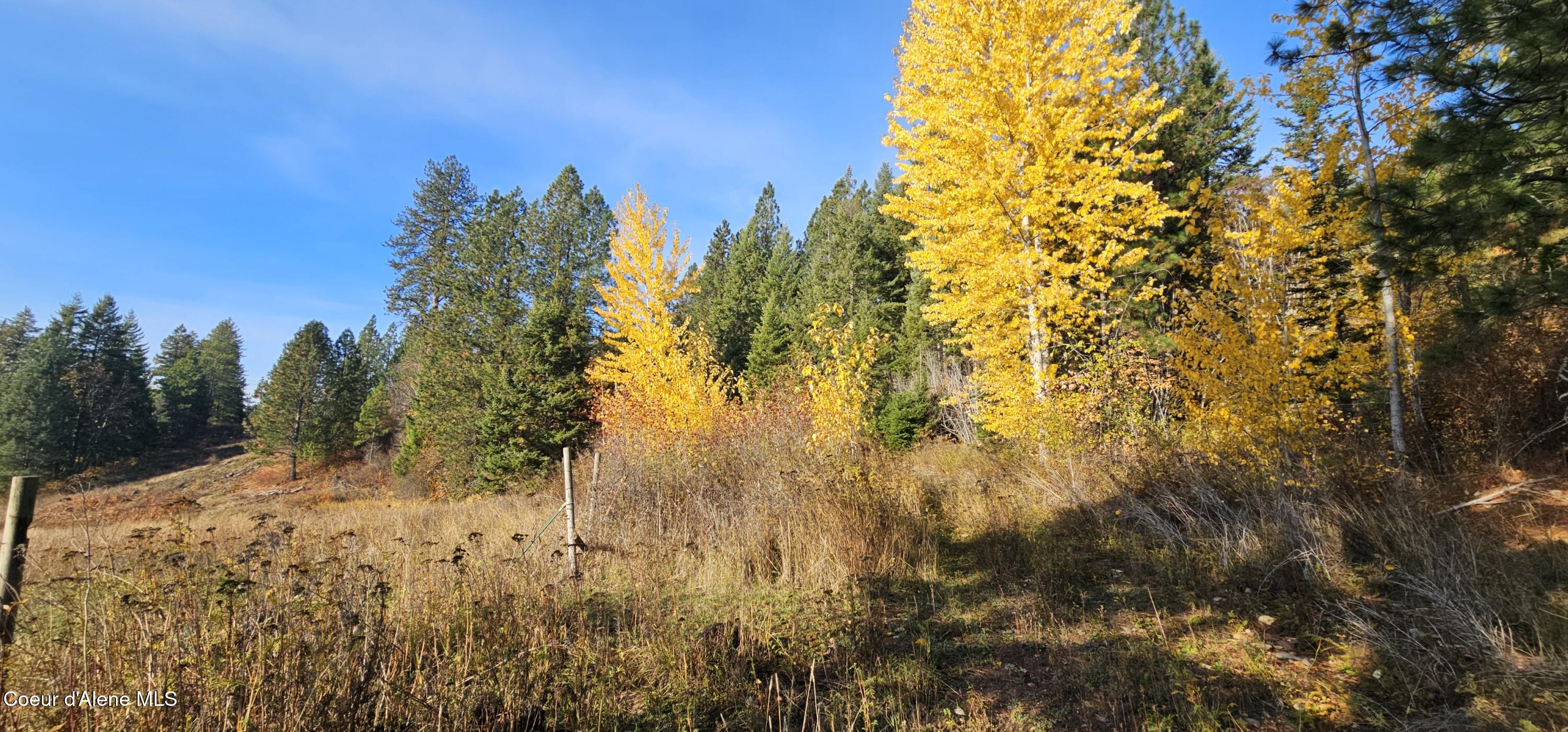 125 Tracker Way Laclede, ID 83841 - Photo 23 of 40 21