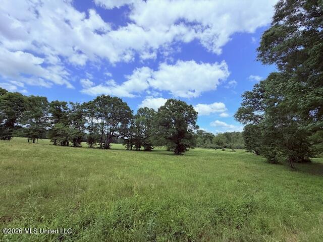 37 Fortenberry Road Tylertown, MS 39667 - Photo 56 of 83 IMG_3689 - Copy