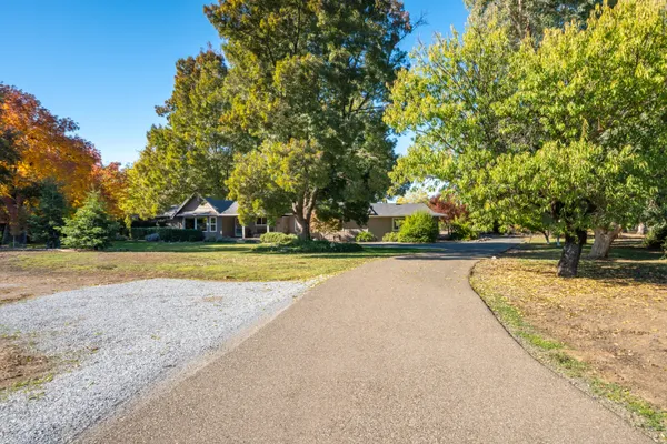 a view of yard with green space