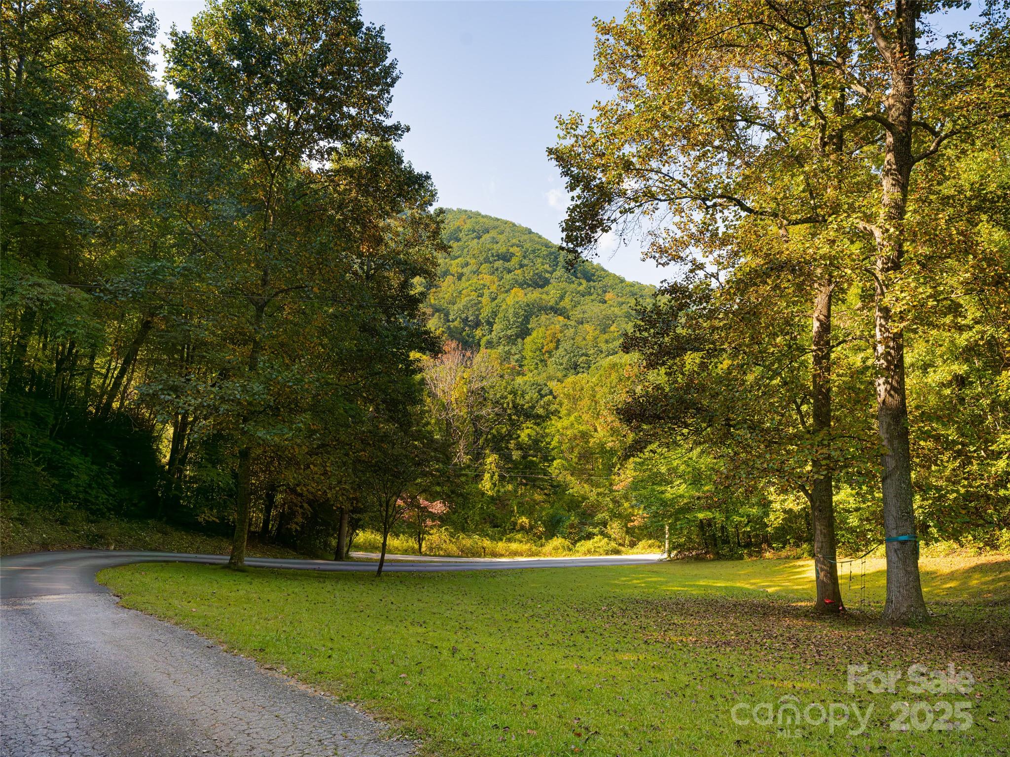 218 Old Fellowship Road Swannanoa, NC 28778 - Photo 36 of 46