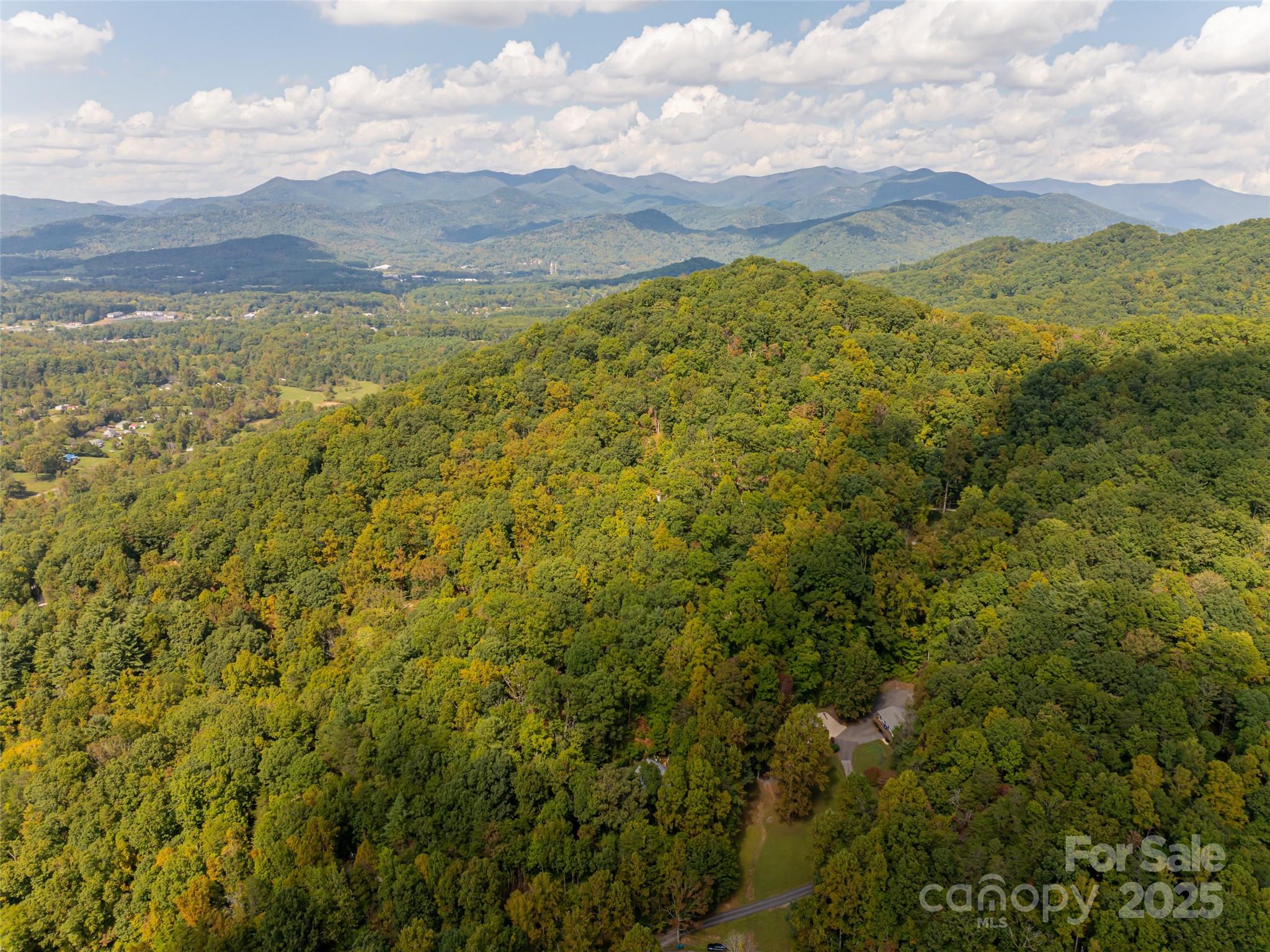 218 Old Fellowship Road Swannanoa, NC 28778 - Photo 45 of 46