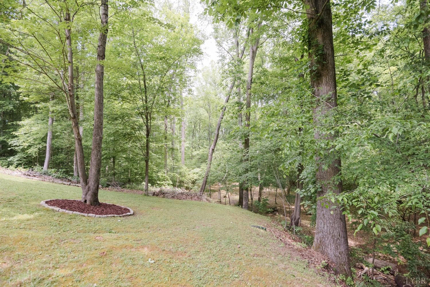 96 Quarry Road Farmville, VA 23901 - Photo 63 of 72 a view of a tree with a yard