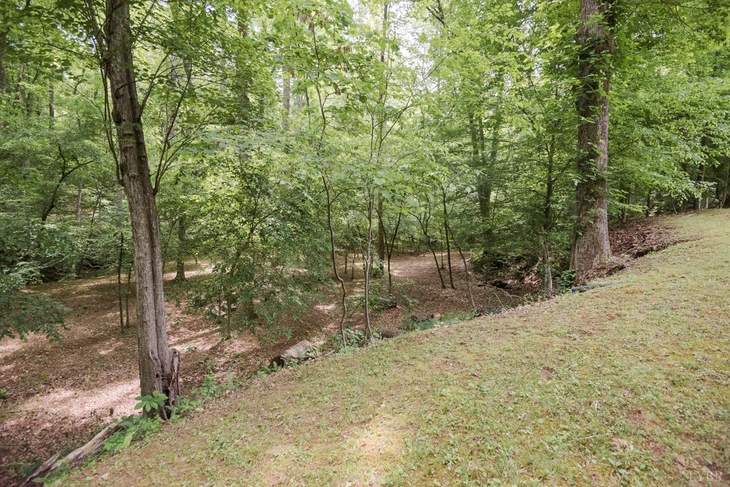 96 Quarry Road Farmville, VA 23901 - Photo 65 of 72 a view of a forest filled with trees