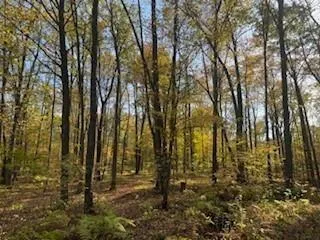 $99,900 | 2728 28 3/8 Street, Birchwood, WI 54817