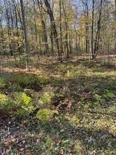 $99,900 | 2728 28 3/8 Street, Birchwood, WI 54817