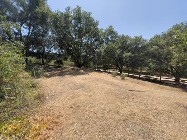 a view of empty space and trees