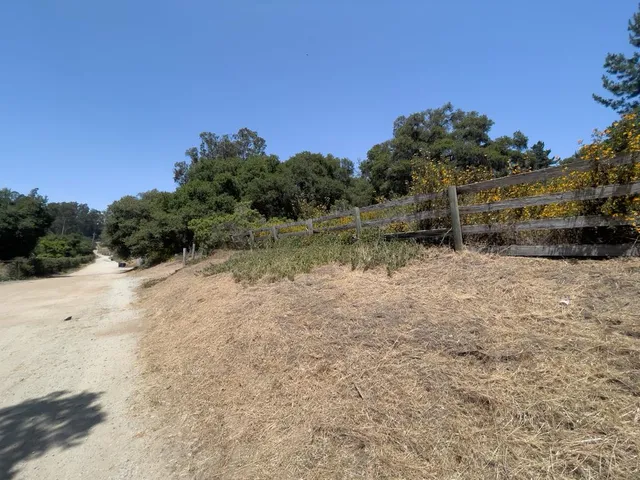 a view of a dry yard with trees in the background