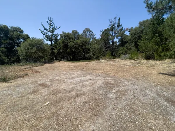 a view of empty field with trees in the background