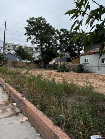 a view of a yard with potted plants