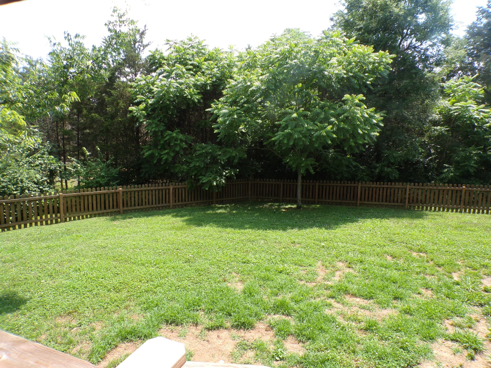 815 Oslo Road Mount Juliet, TN 37122 - Photo 6 of 28 Gallery Image 6
