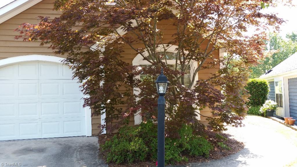 3216 Pipers Way High Point, NC 27265 - Photo 24 of 25 Beautiful Japanese Maple