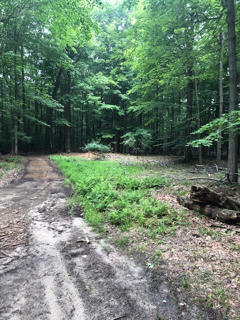 0 West Meinert Road Montague, MI 49437 - Photo 3 of 4 IMG_8881