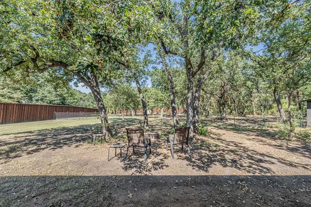 a view of a yard with large trees