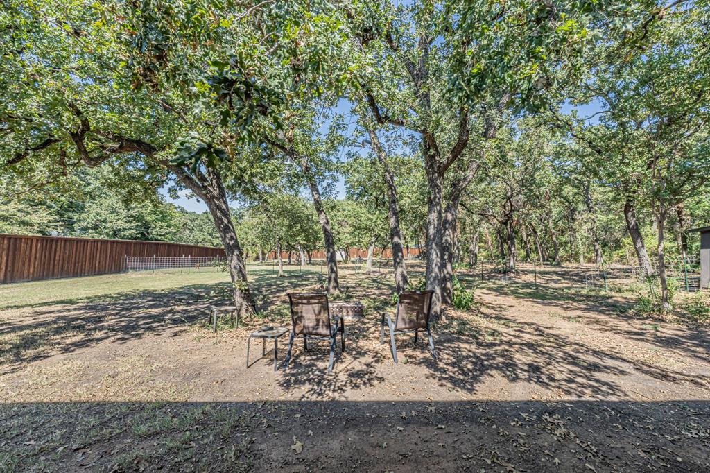 3745 Lucy Trimble Road Burleson, TX 76028 - Photo 34 of 40 a view of a yard with large trees