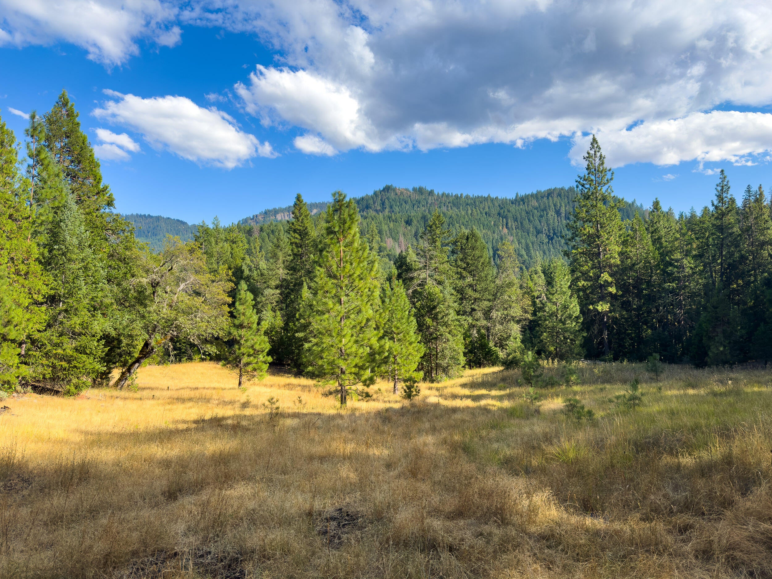 0 Buckhorn Springs Road Ashland, OR 97520 - Photo 6 of 39 Final (7)