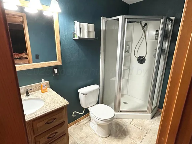 a bathroom with a toilet sink shower and mirror
