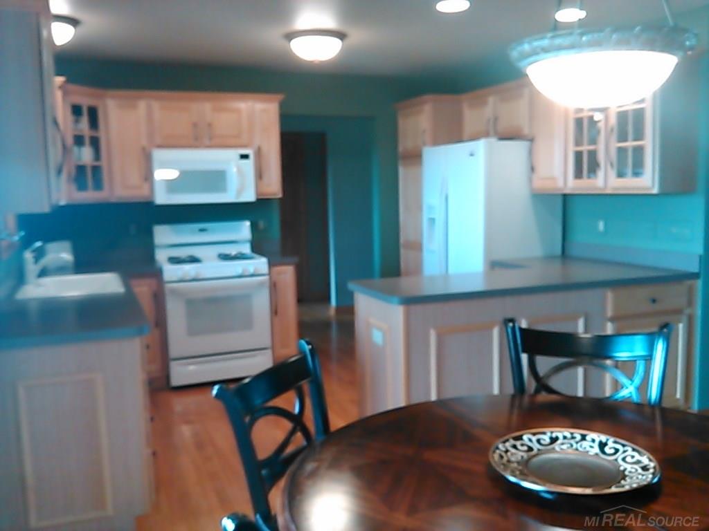 445 Fitz Road Goodells, MI 48027 - Photo 29 of 31