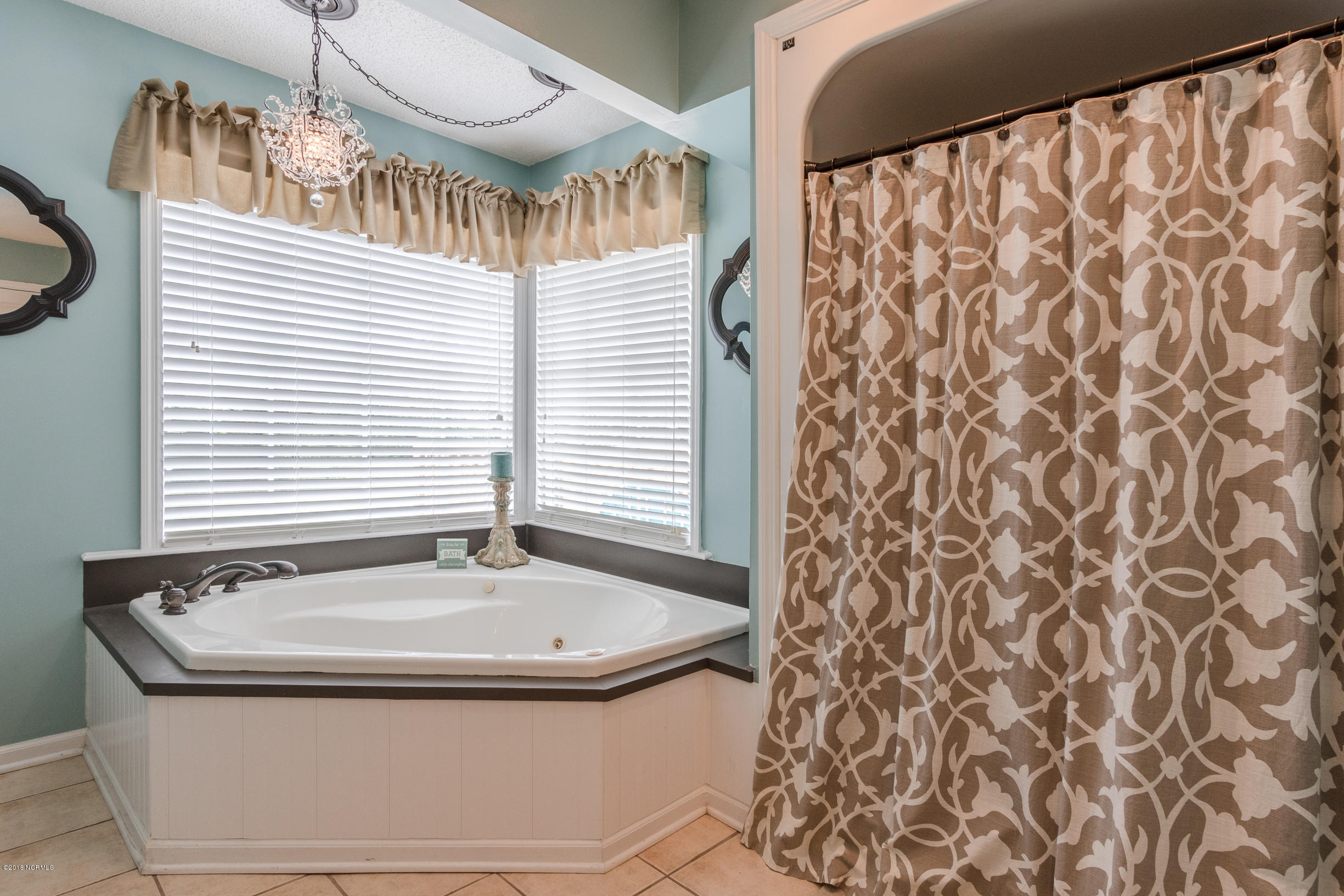 390 Futrell Road Richlands, NC 28574 - Photo 19 of 45 Master Bath
