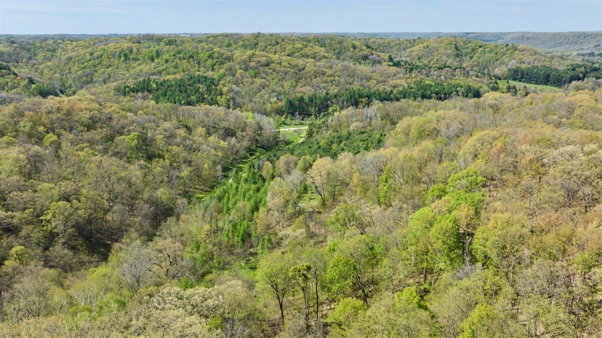 70-ac Harris Road La Farge, WI 54639 - Photo 33 of 67 Gallery Image 33