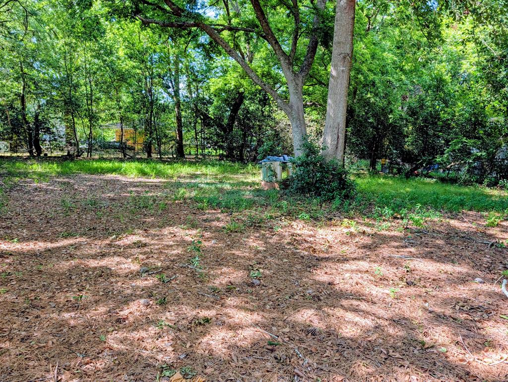 519 Webb Road Dothan, AL 36303 - Photo 2 of 13