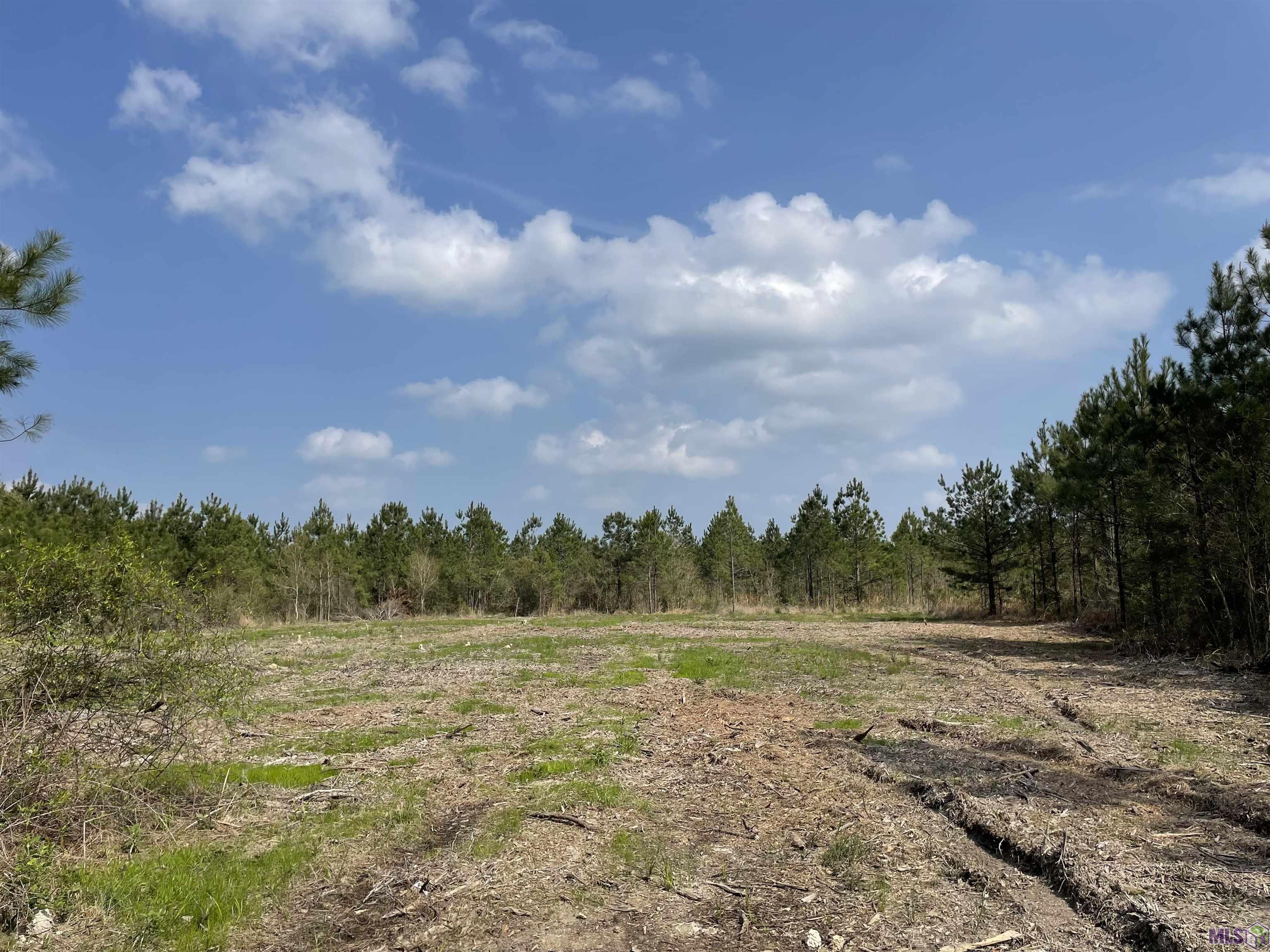 9 Lorin Wall Road Holden, LA 70744 - Photo 3 of 5