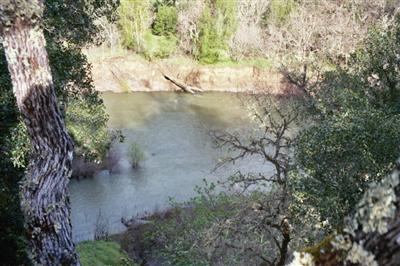 1000 Riverside Drive Ukiah, CA 95482 - Photo 8 of 12 a view of a yard with a tree