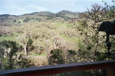1000 Riverside Drive Ukiah, CA 95482 - Photo 9 of 12 a view of a yard with wooden fence and some plants