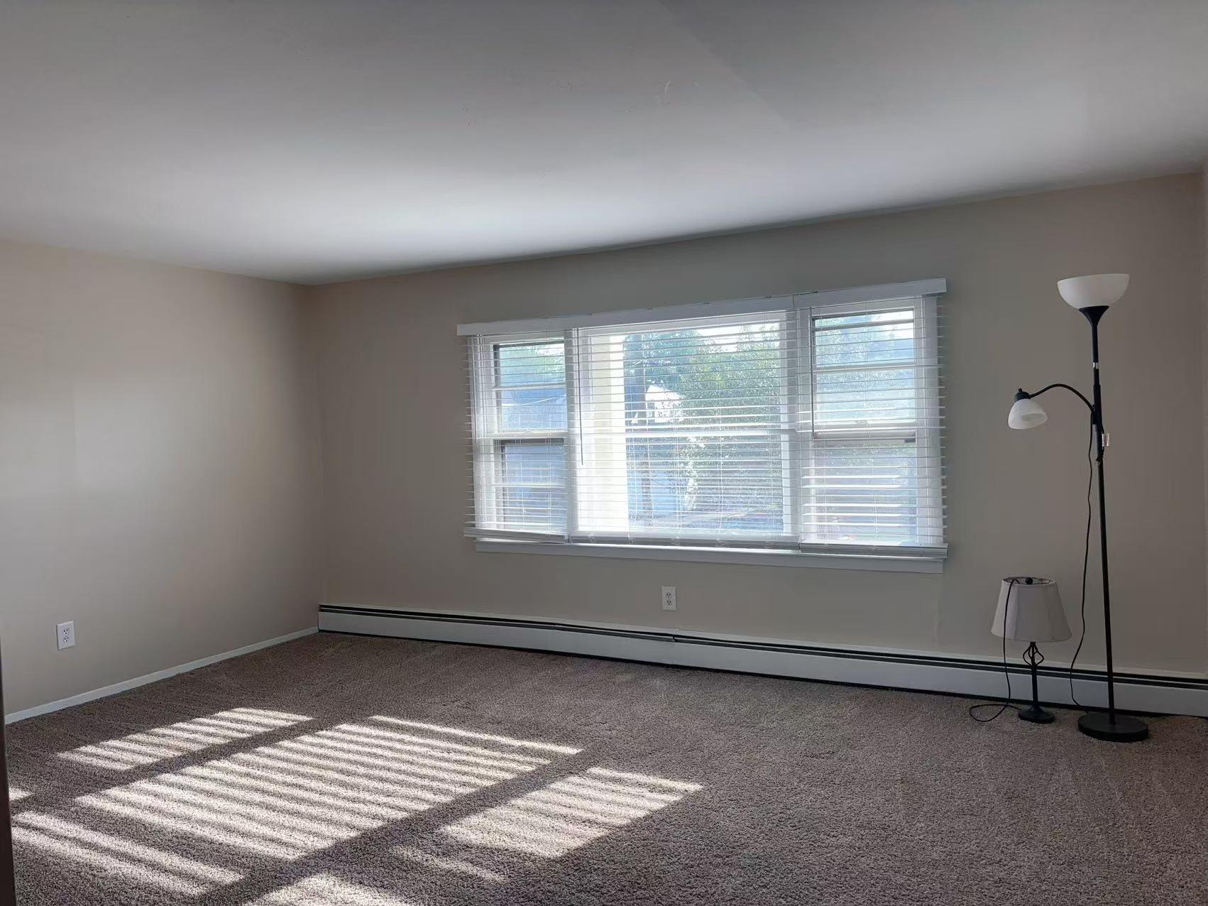 2333 Beech Street Wantagh, NY 11793 - Photo 12 of 21 Spare room featuring carpet floors, baseboards, and a baseboard heating unit