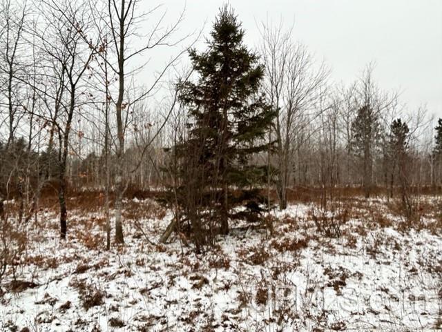 Tbd5 Larson Road Atlantic Mine, MI 49905 - Photo 37 of 56 Gallery Image 37