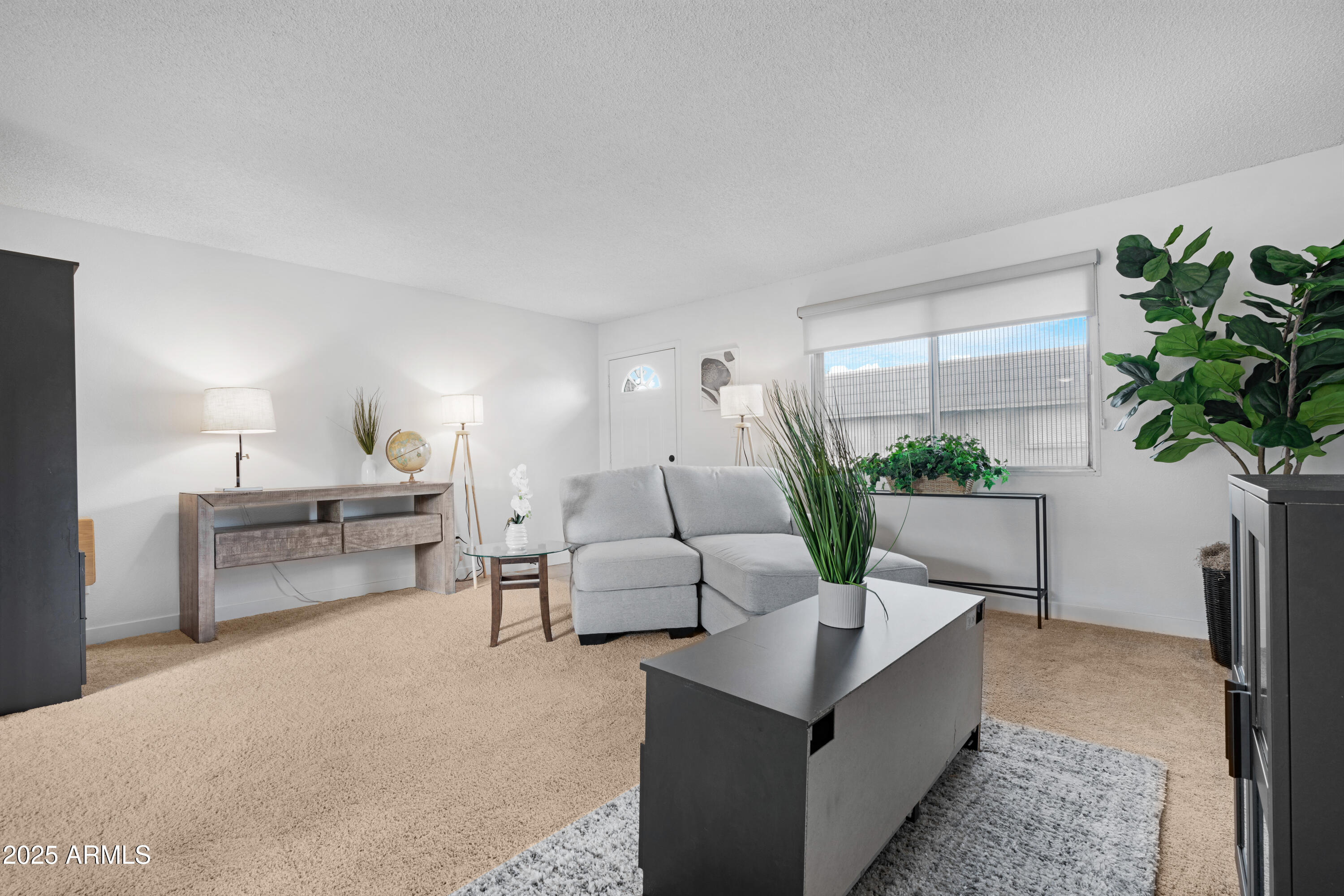 2042 West Elm Street Phoenix, AZ 85015 - Photo 10 of 35 a living room with furniture potted plant and a potted plant