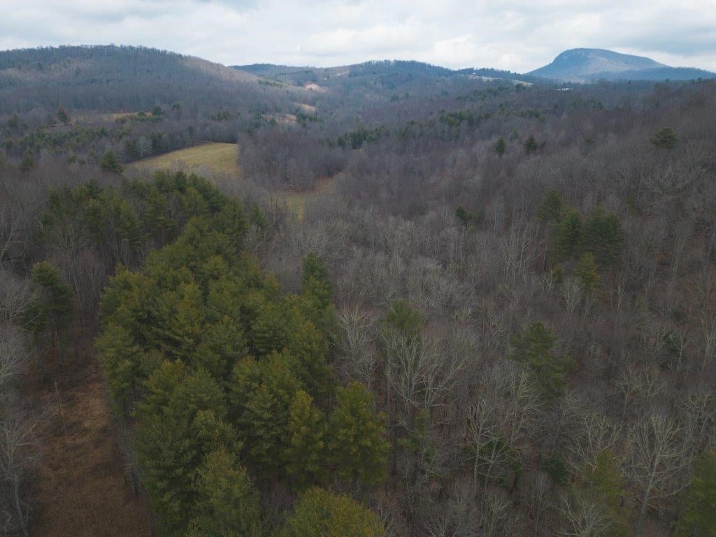 Tbd Long Mountain Road Southwest Willis, VA 24380 - Photo 22 of 66 Gallery Image 22