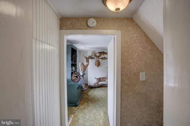 an empty room with windows and ceiling fan view