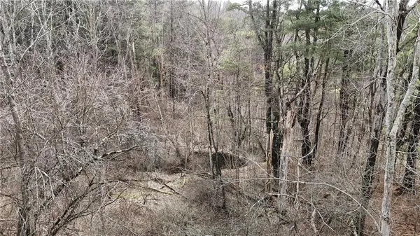 a view of a yard