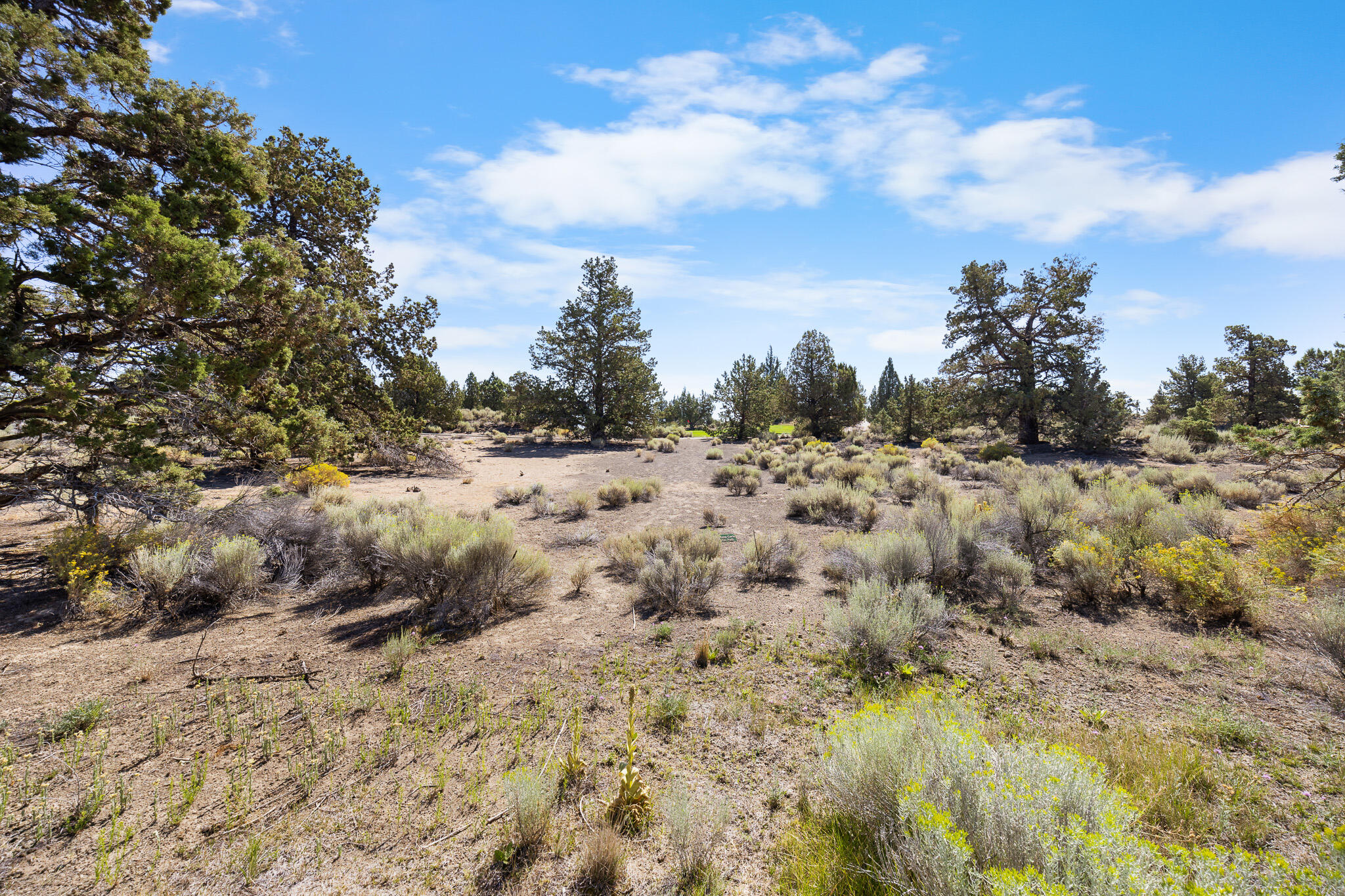 65611 Ghost Tree Court, Unit 316 Bend, OR 97701 - Photo 8 of 10 _52A8155