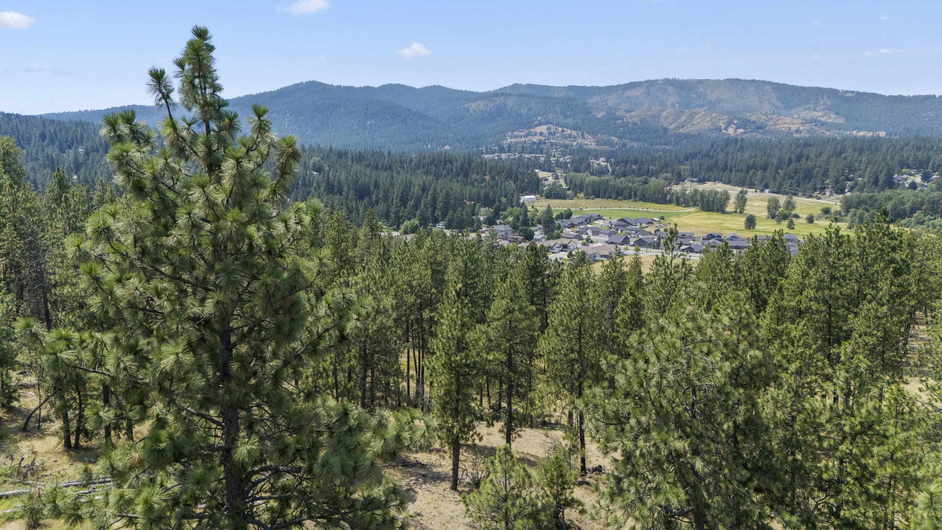 12539 East Chester Ridge Lane, Unit LOT 4 Spokane, WA 99206 - Photo 12 of 31