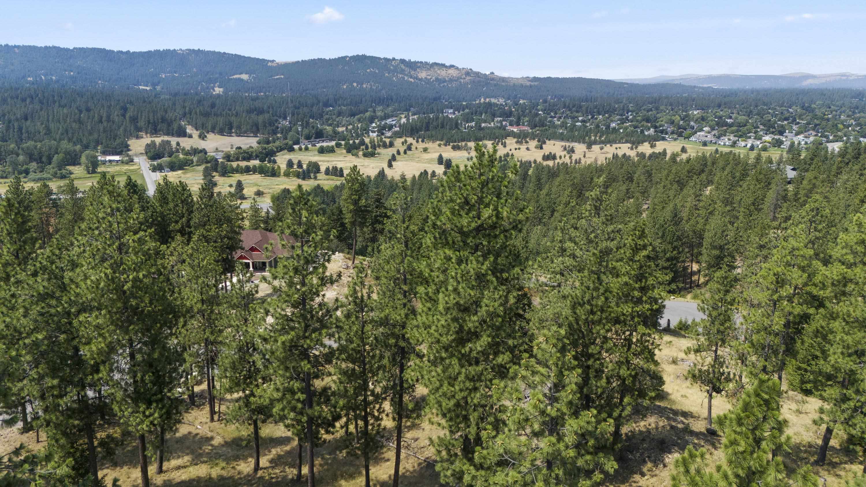 12539 East Chester Ridge Lane, Unit LOT 4 Spokane, WA 99206 - Photo 18 of 31