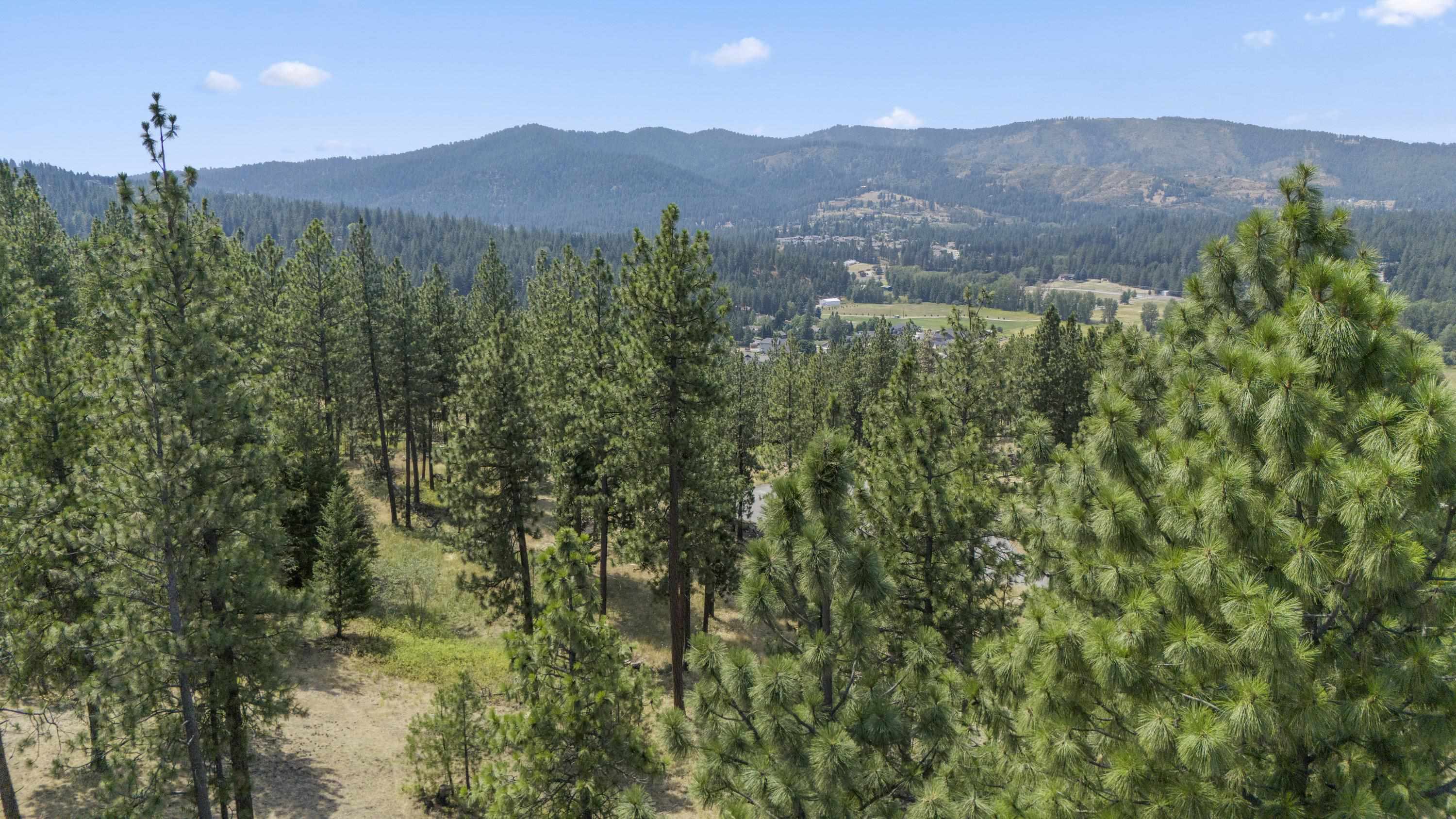 12539 East Chester Ridge Lane, Unit LOT 4 Spokane, WA 99206 - Photo 19 of 31