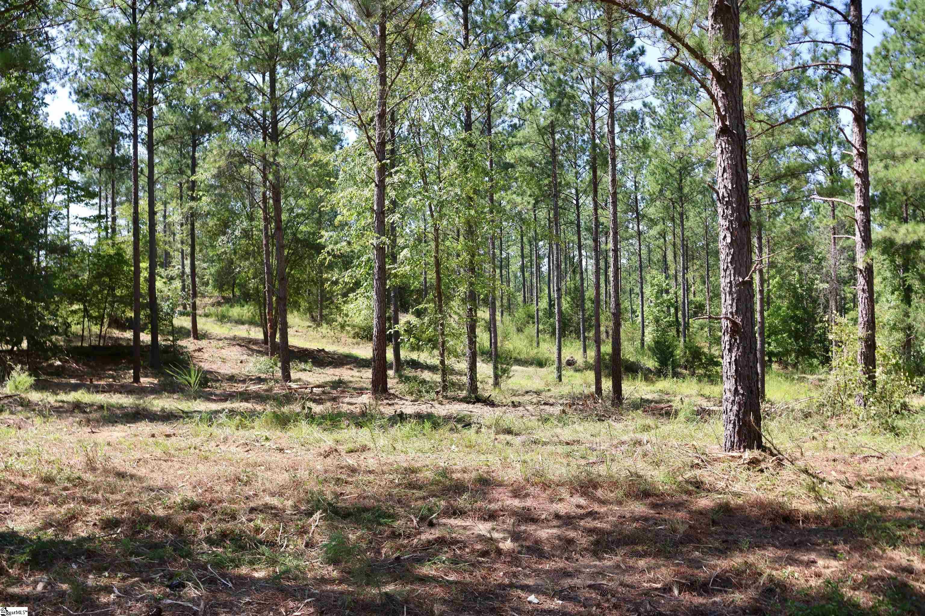 0 Fields Road, Unit LOT 3 Pauline, SC 29374 - Photo 4 of 6
