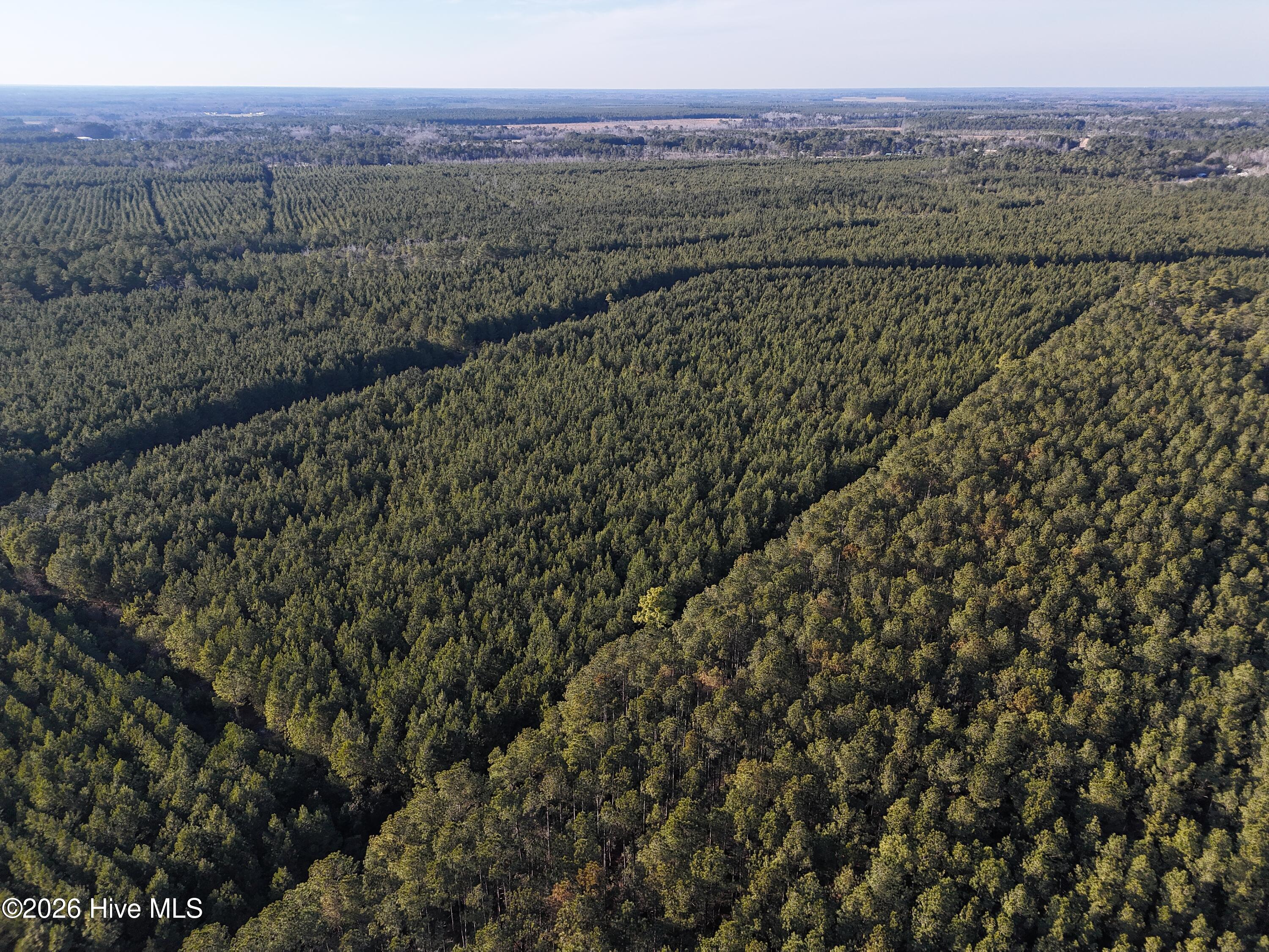 40-acres Haw Branch Road Beulaville, NC 28518 - Photo 2 of 10 dji_fly_20260214_161534_0158_17711038260