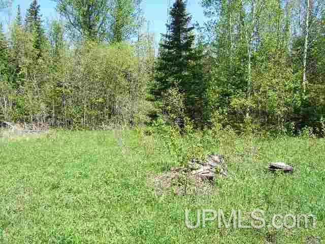 Tbd East Cold Springs Road Chatham, MI 49816 - Photo 3 of 21