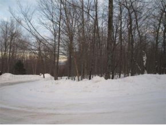 22 Shallow Brook Road Plymouth, VT 05056 - Photo 2 of 2 Gallery Image 2