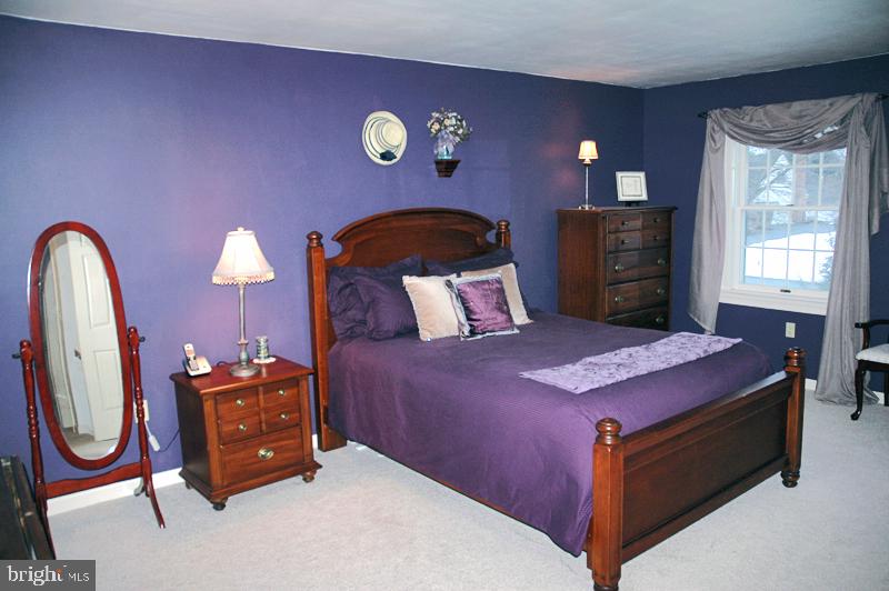 529 Randolph Drive Lititz, PA 17543 - Photo 19 of 30 Gallery Image 19