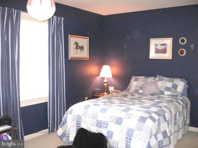 529 Randolph Drive Lititz, PA 17543 - Photo 23 of 30 Gallery Image 23